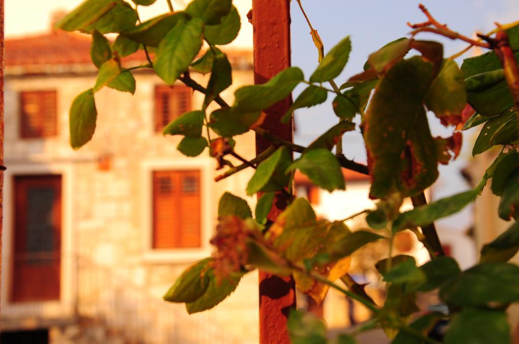 Nebojsega B&B Santa Croce Mare Dış mekan fotoğraf